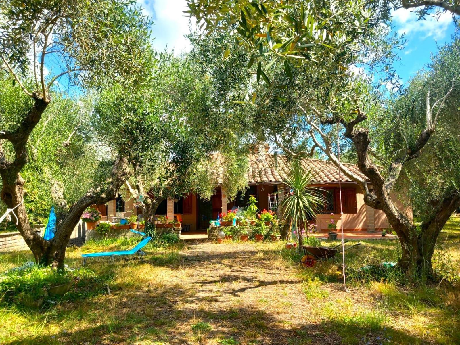 All'Ombra Degli Olivi Pisciarelli المظهر الخارجي الصورة
